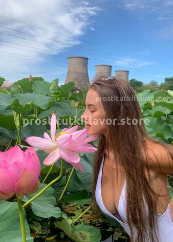 Алла, Г. Вязьма